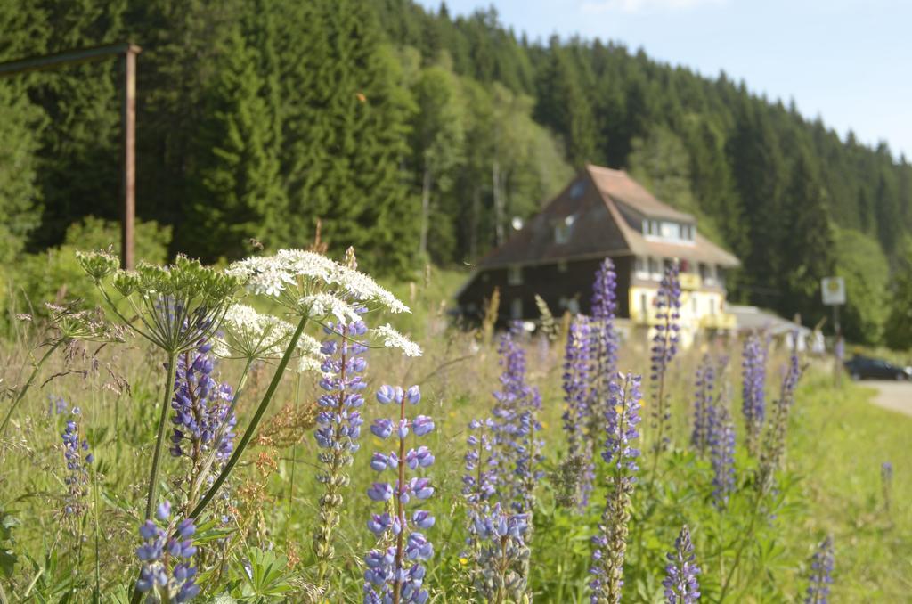 Gasthaus Hotel Loeffelschmiede فيلدبرج المظهر الخارجي الصورة