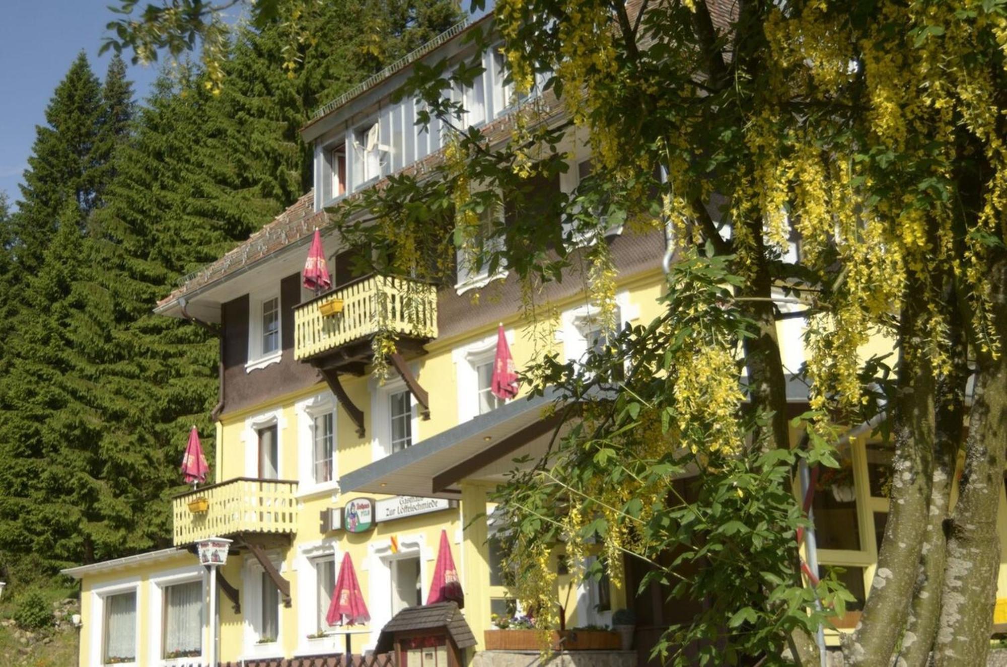 Gasthaus Hotel Loeffelschmiede فيلدبرج المظهر الخارجي الصورة